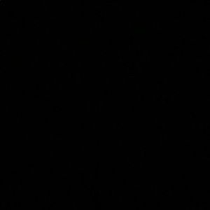 Meet your Posher, Brayden